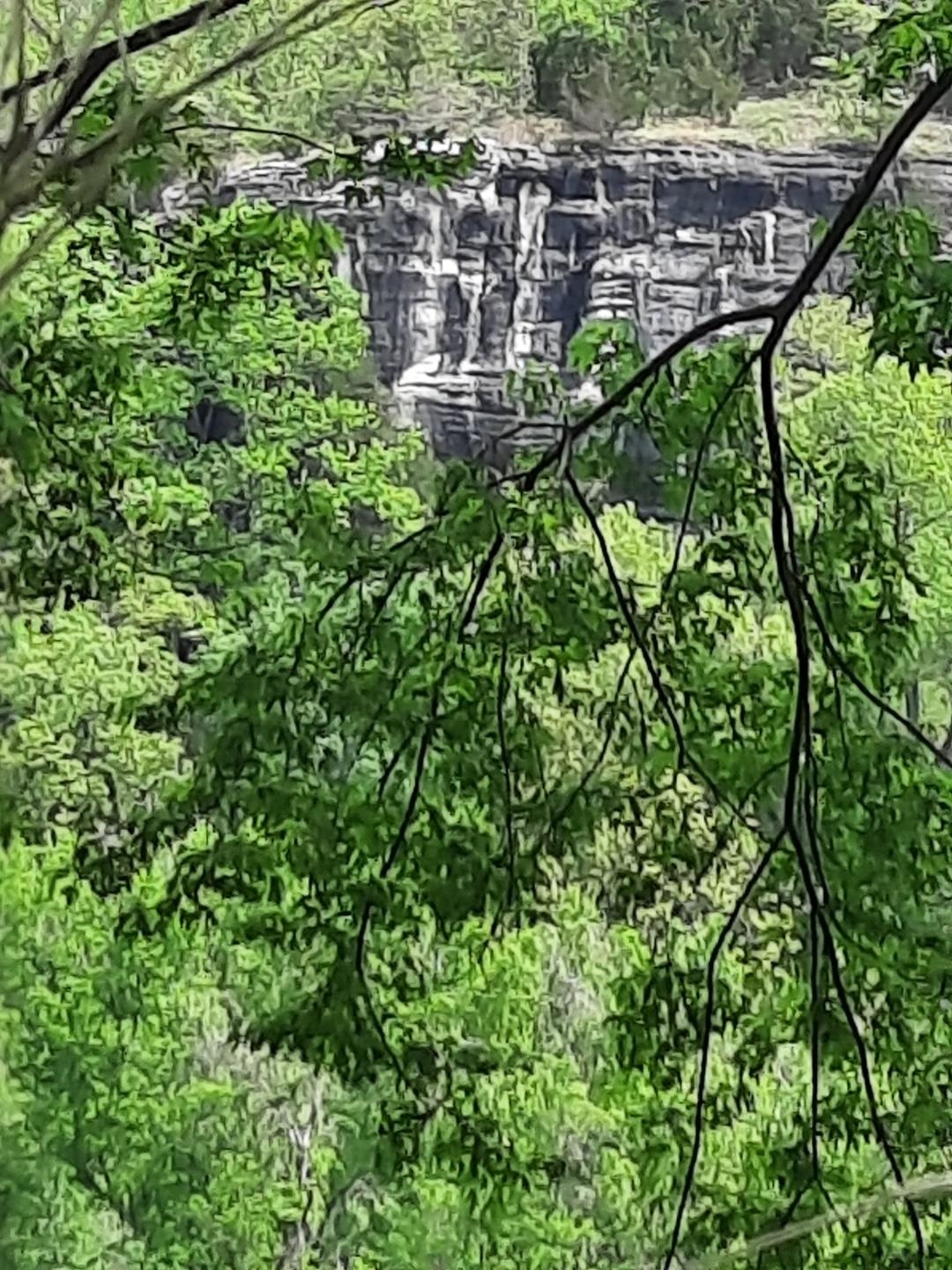 FOLL ROUND BOTTOM - Land