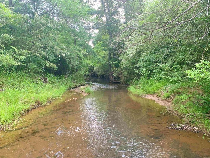 Peaceful tract of woods bordered on the western side by Mill Creek. Just 1/2 mile from downtown Quitman. Abundant wildlife and towering trees make this a truly special place. Excellent location to build your dream home or cabin. First Electric power line and Quitman City water runs down Buckeye Lane. Plenty of elbow room between neighboring properties and less than 15-minute drive to boating and fishing at Greers Ferry Lake.