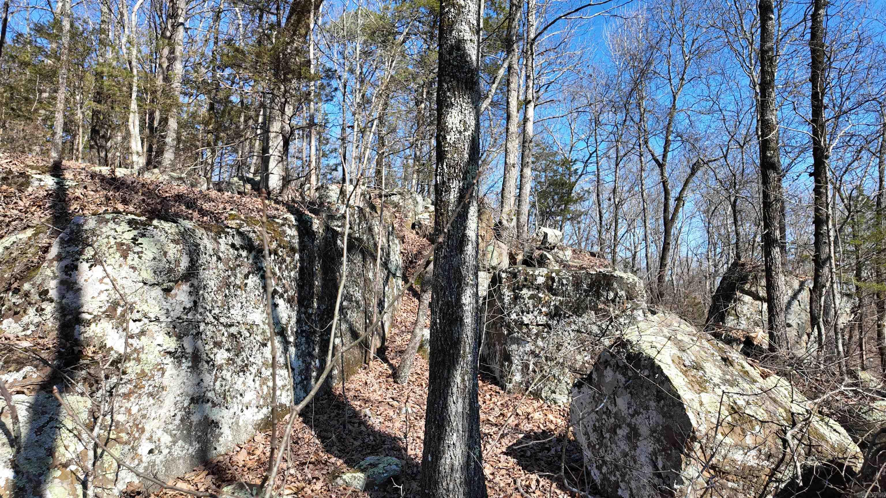 Metes & Bounds - Land