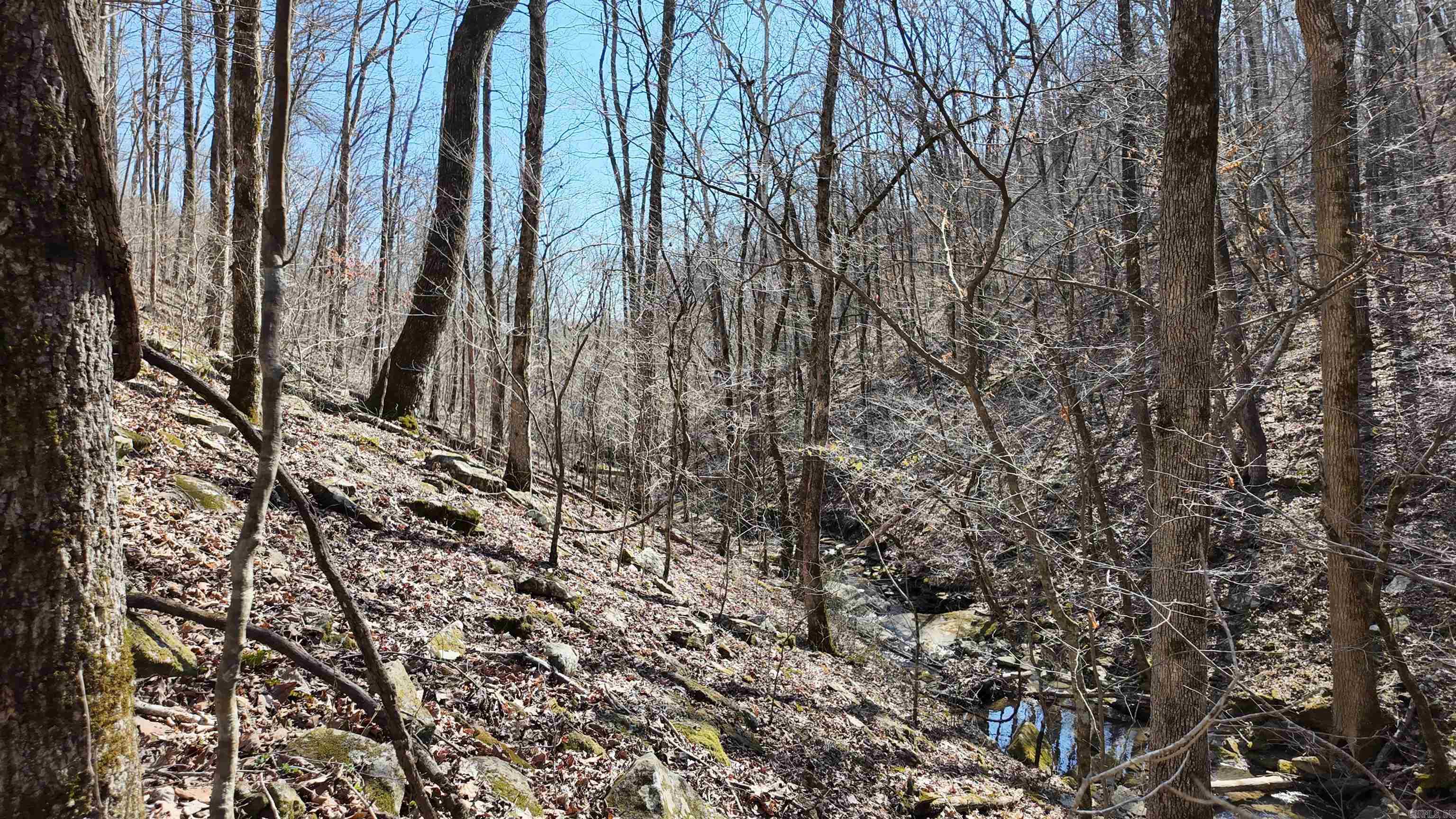 Metes & Bounds - Land