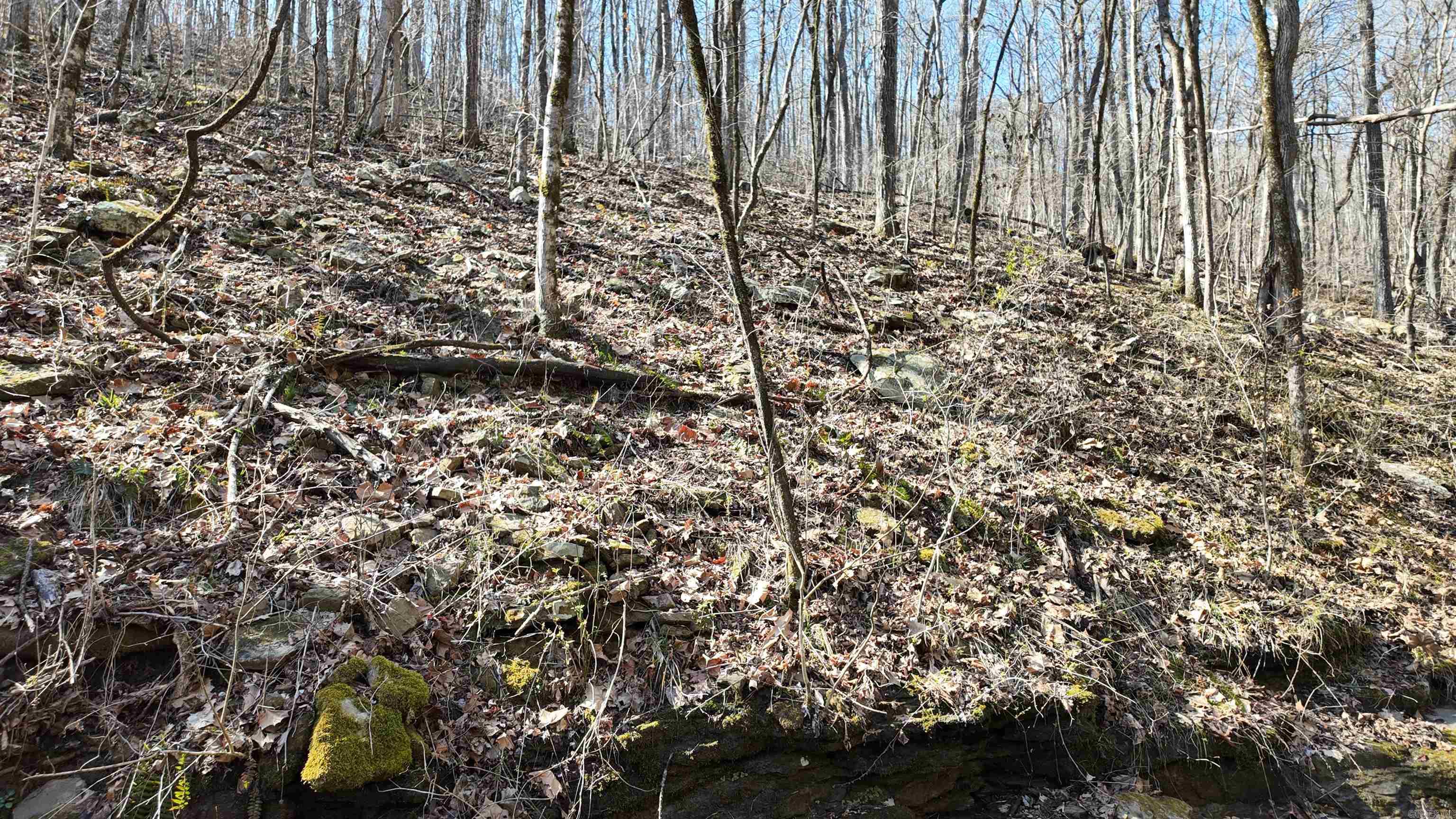 Metes & Bounds - Land