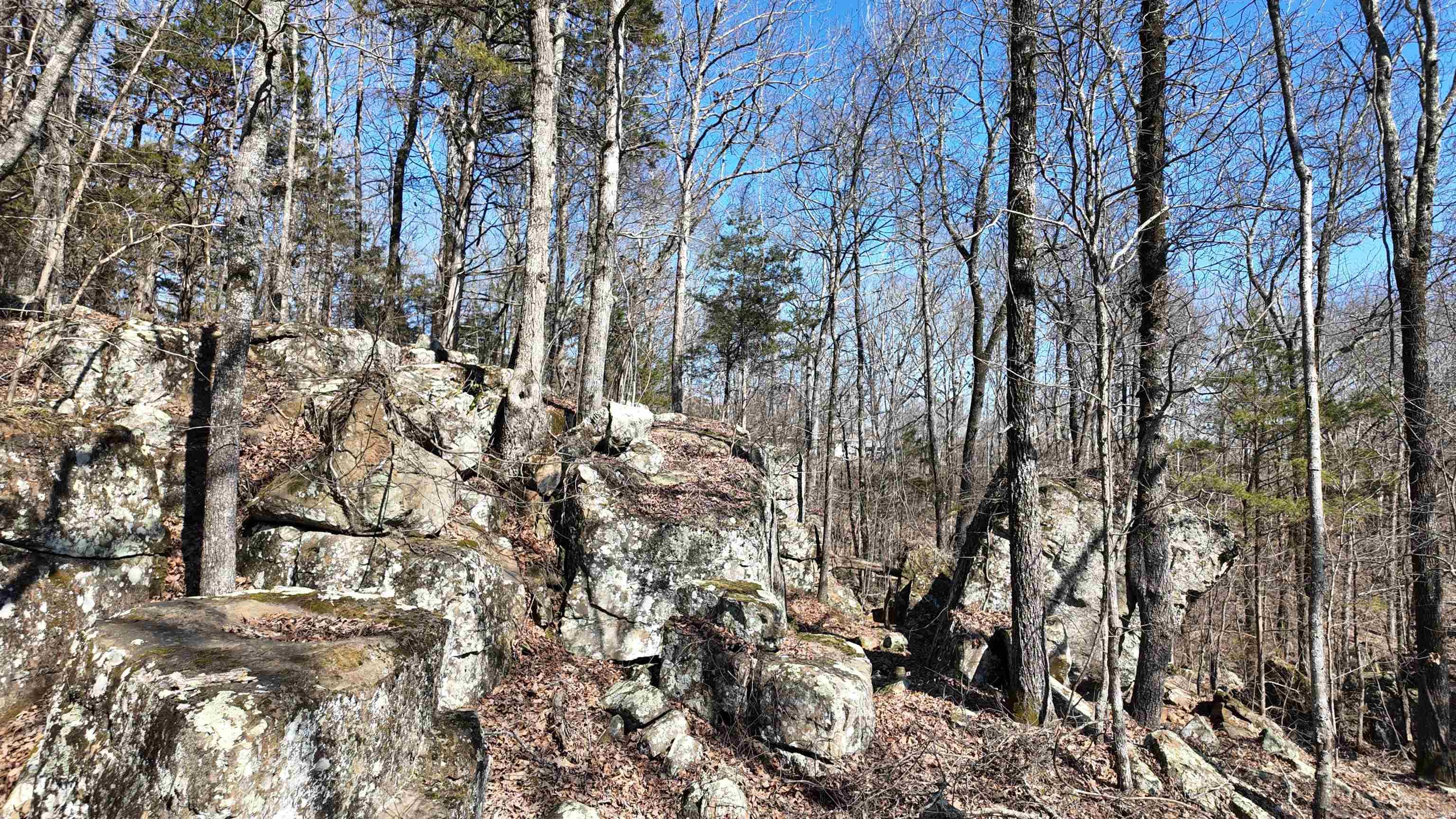 Metes & Bounds - Land