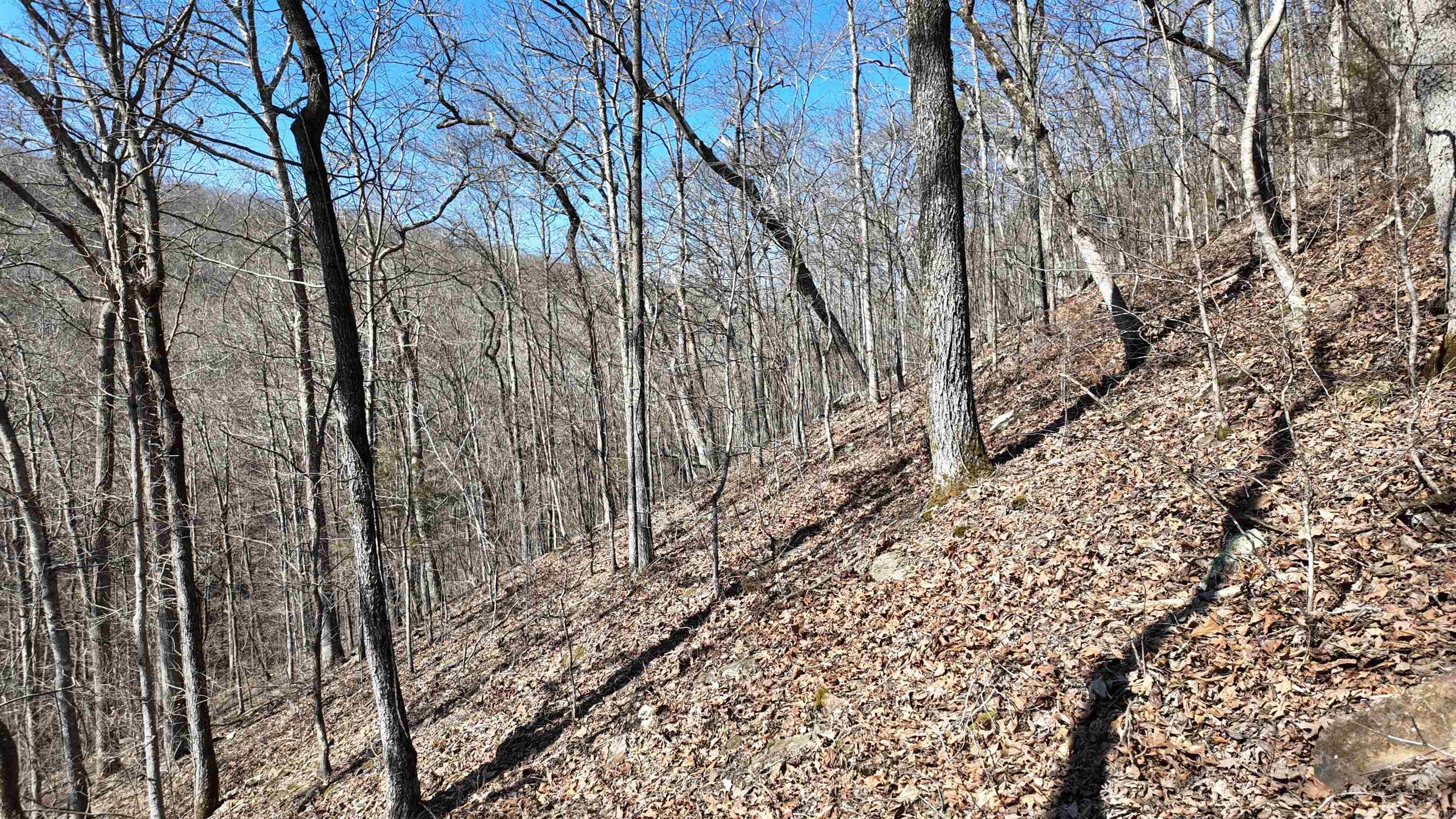 Metes & Bounds - Land