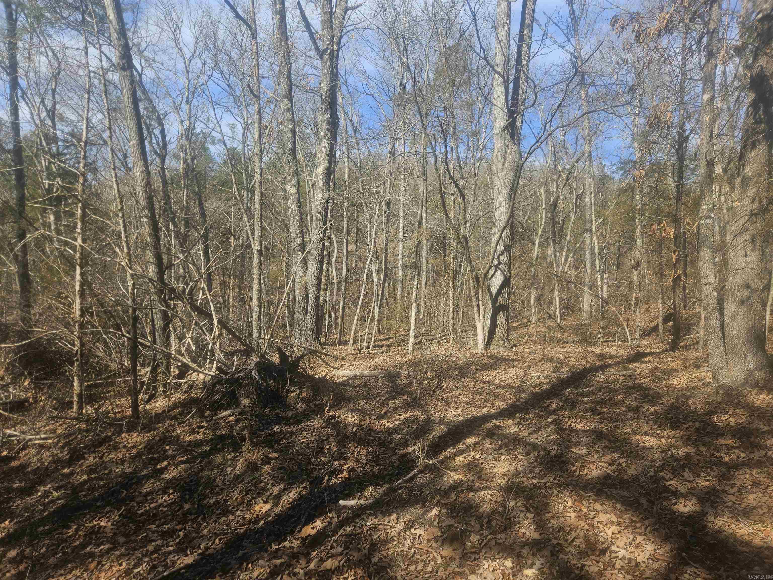 Metes & Bounds - Land