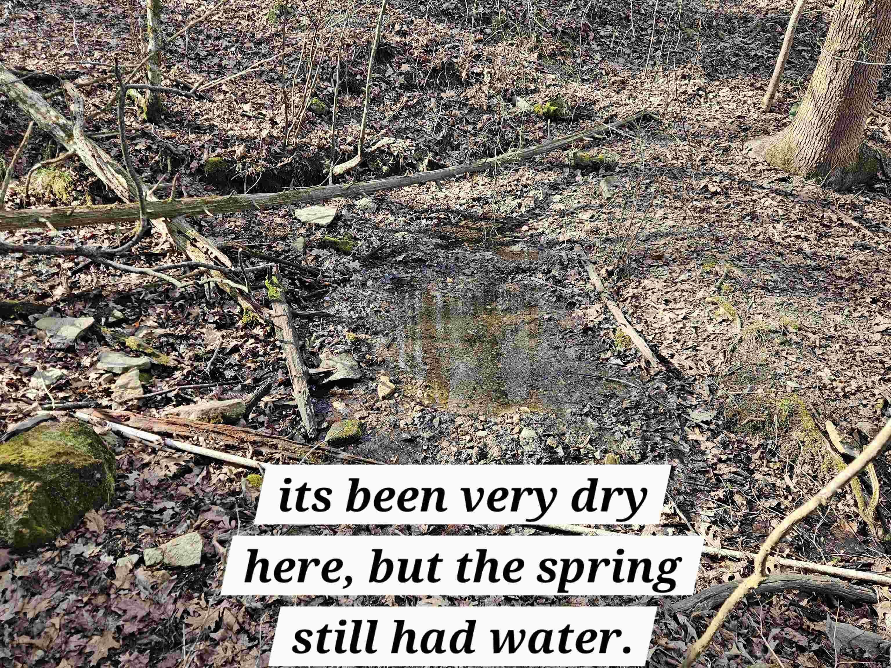 Metes & Bounds - Land