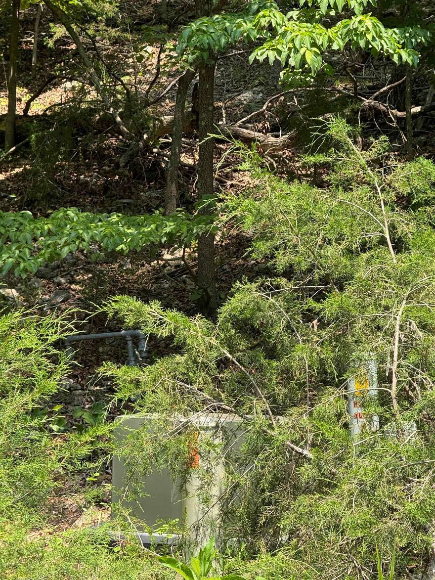 Discover the perfect canvas for your dream home with this private, wooded 1.31-acre residential lot, nestled at the end of a peaceful cul-de-sac. Located in a desirable subdivision, this sloped lot offers both tranquility and convenience, with easy access to city water, sewer, and utilities. Enjoy the best of both worlds—seclusion surrounded by nature, yet close to all the amenities you need. With two separate lots included, there’s plenty of room to build your ideal home and create your own private oasis. Take advantage of this rare opportunity to own a spacious, well-located property that combines privacy and accessibility. Minutes to hospital, restaurants and shopping. Located in a desirable subdivision, this sloped lot offers both tranquility and convenience, with easy access to city water, and utilities.