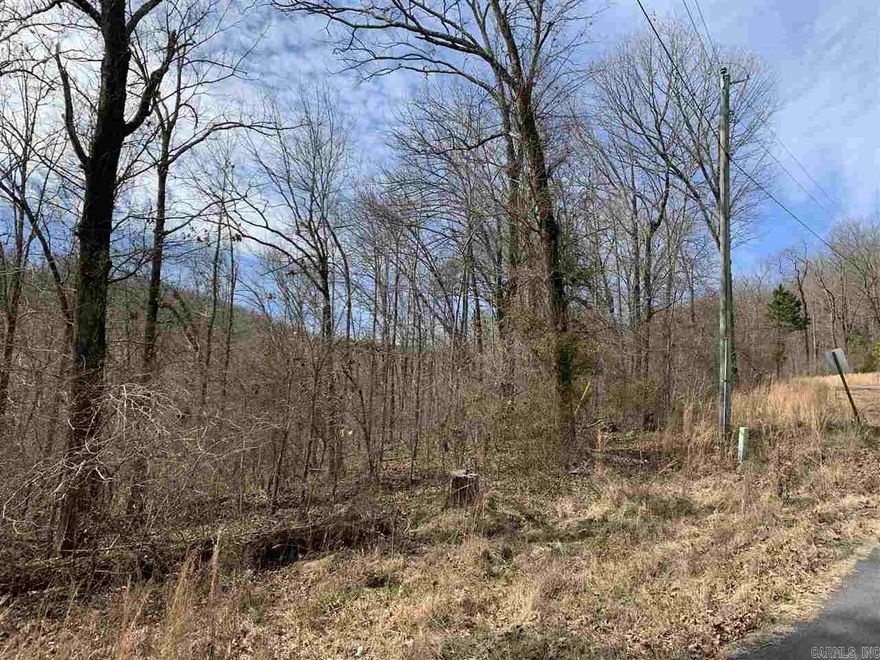 Great Lakeview Lot in a desirable neighborhood for building a nice home! Super quiet area. Watersedge is very close to the town of Greers Ferry and Fairfield Bay .  Close to ATV, hiking, and mountain biking trails. The Little Red River is minutes away!