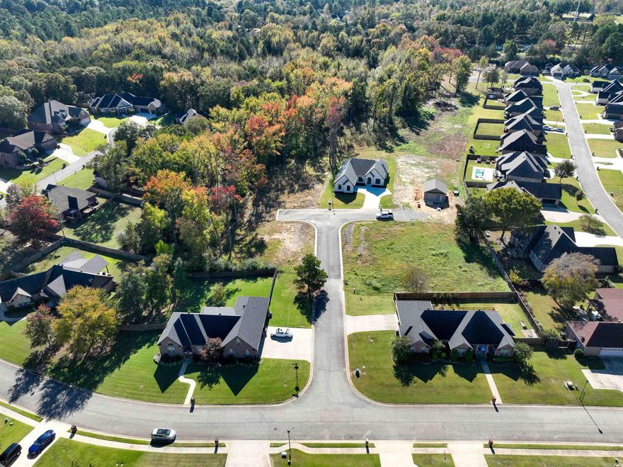 Prime Lot in Newer, Upscale Neighborhood! Discover the perfect opportunity to build your dream home on this spacious and well-located lot in a growing community. This lot offers excellent frontage, generous space for customization, and is situated near key amenities including schools, parks, shopping centers and medical facilities. Enjoy scenic views and a tranquil environment while being connected to all the conveniences of modern living. Perfect for investors, Builder, or families looking to settle in a vibrant subdivision. Don't miss out on this fantastic lot!