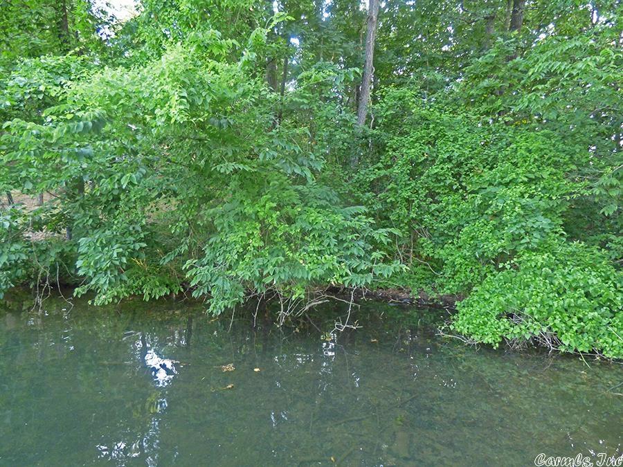 Thunderbird Third - Land