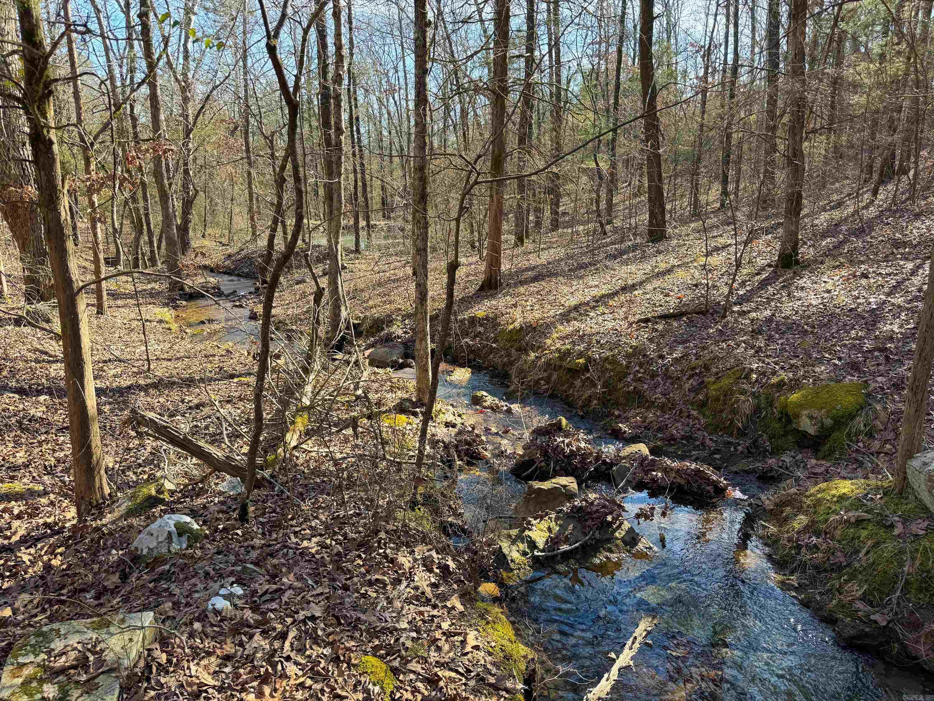 Metes & Bounds - Land