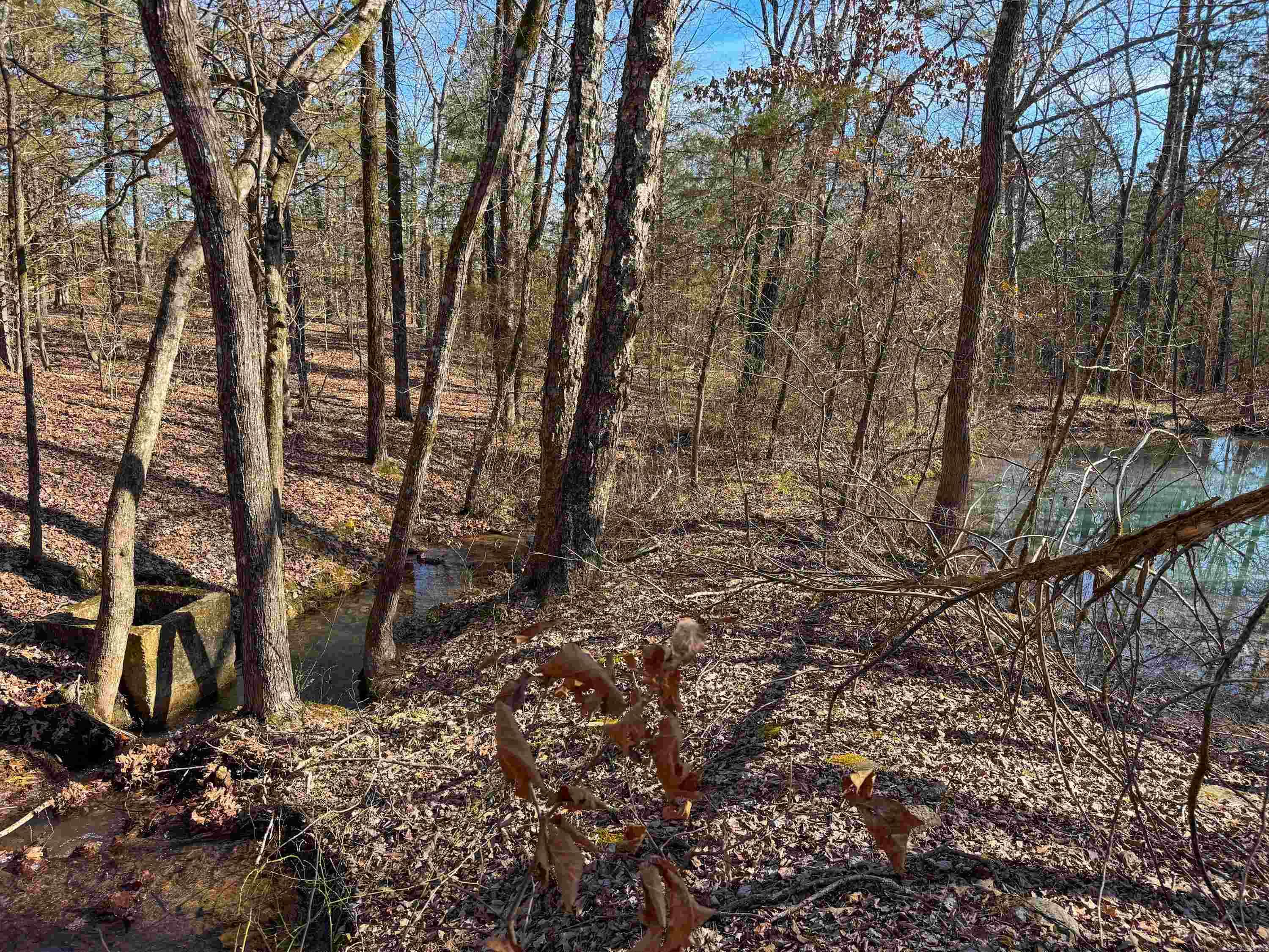 Metes & Bounds - Land