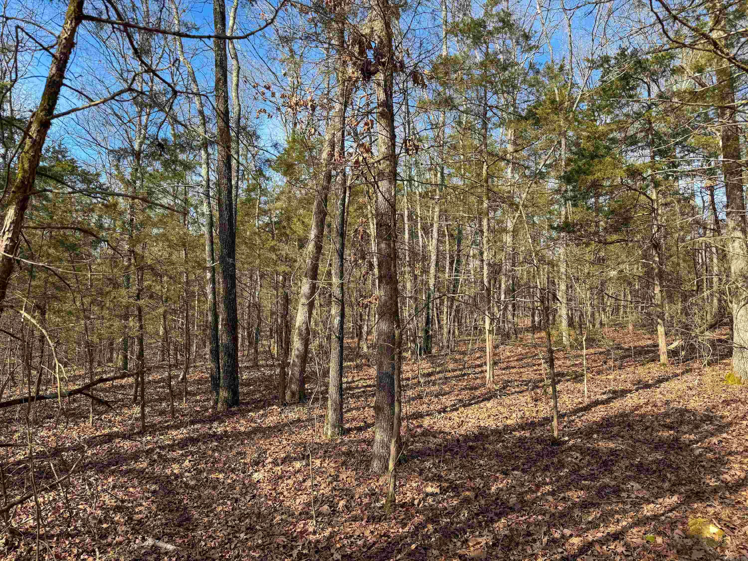 Metes & Bounds - Land