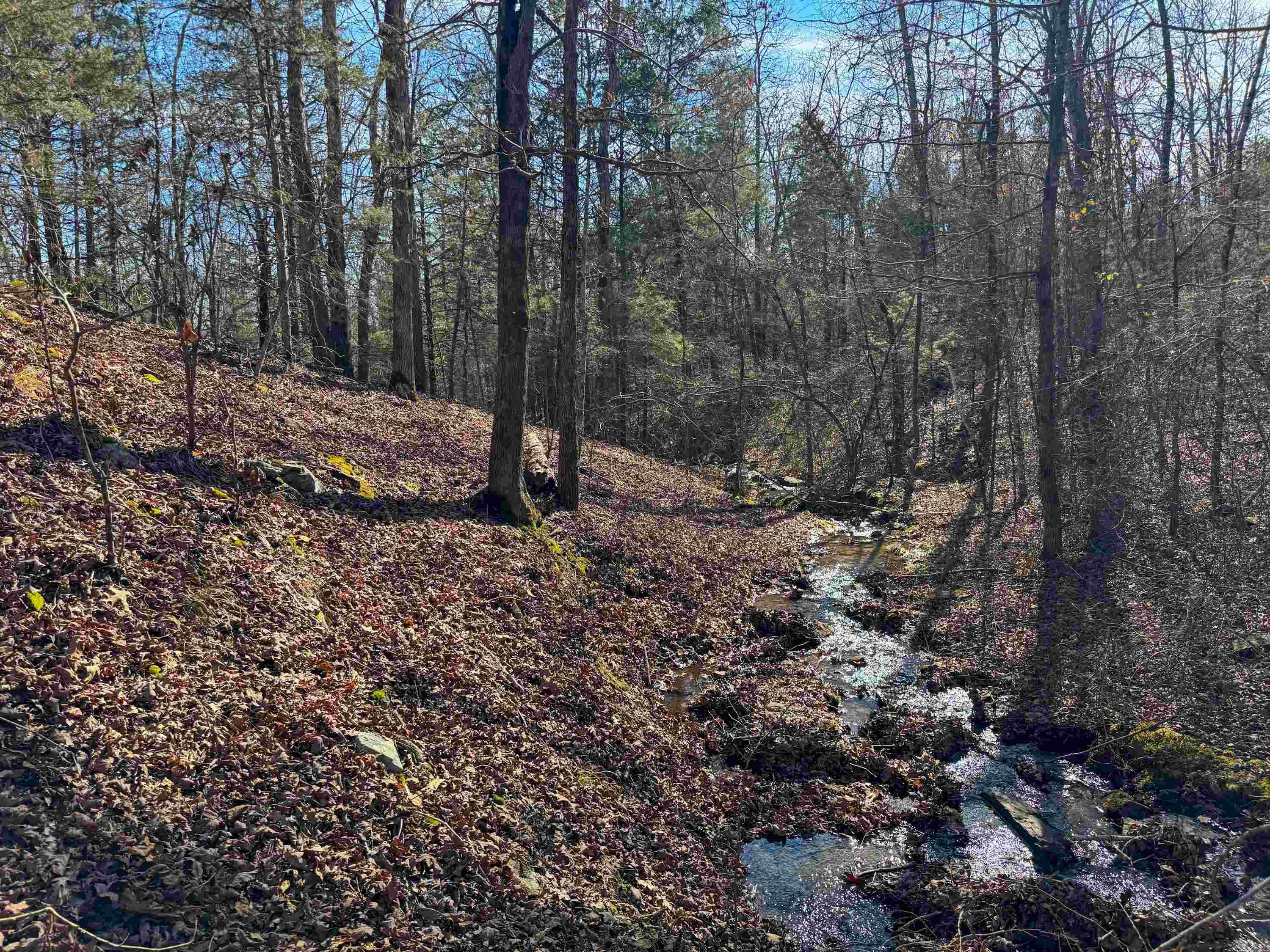 Metes & Bounds - Land