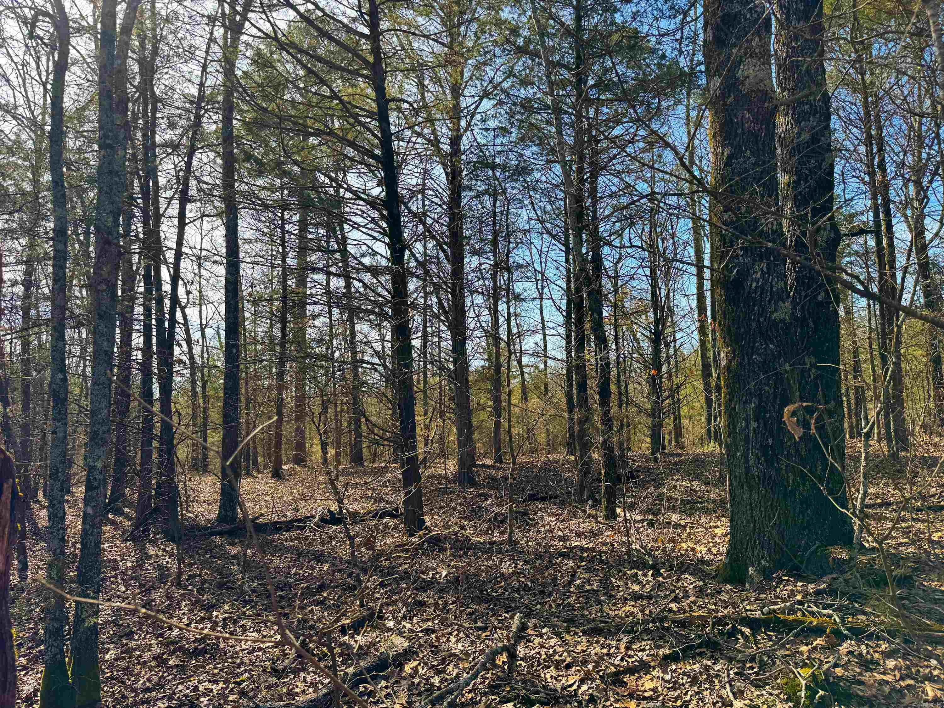 Metes & Bounds - Land