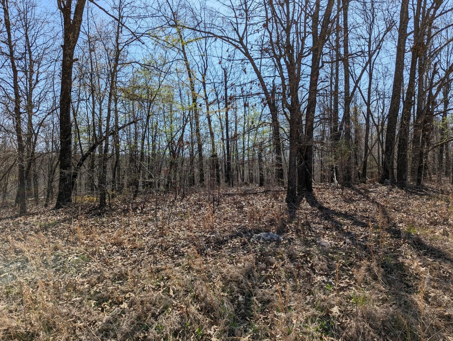 Not in Subdivision - Land