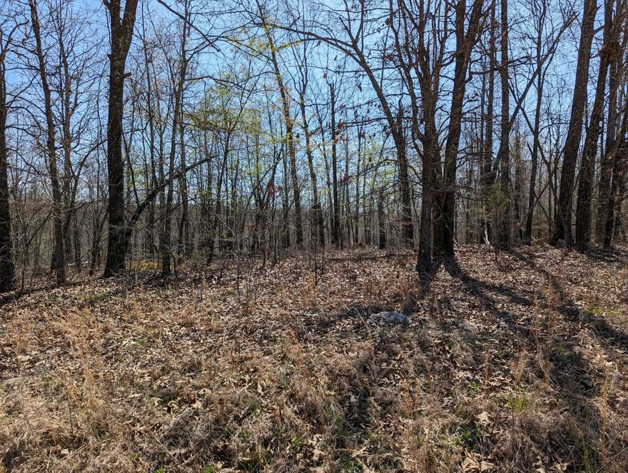 This small acreage consisting of 5 acres m/l is approximately 4 miles from the city of Ash Flat Arkansas. The land is all wooded and unimproved with access to electricity. There are no restrictions on this vacant tract of land. Great location-close to various restaurants, shopping, and plenty of activities!