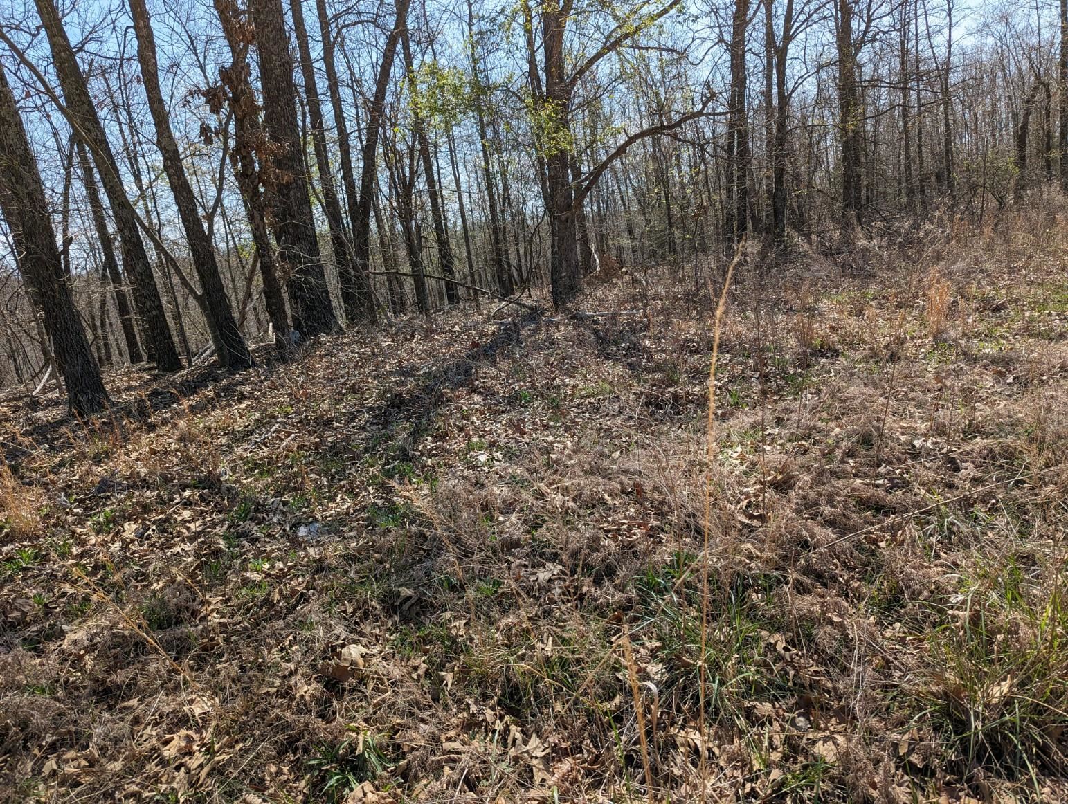 Not in Subdivision - Land