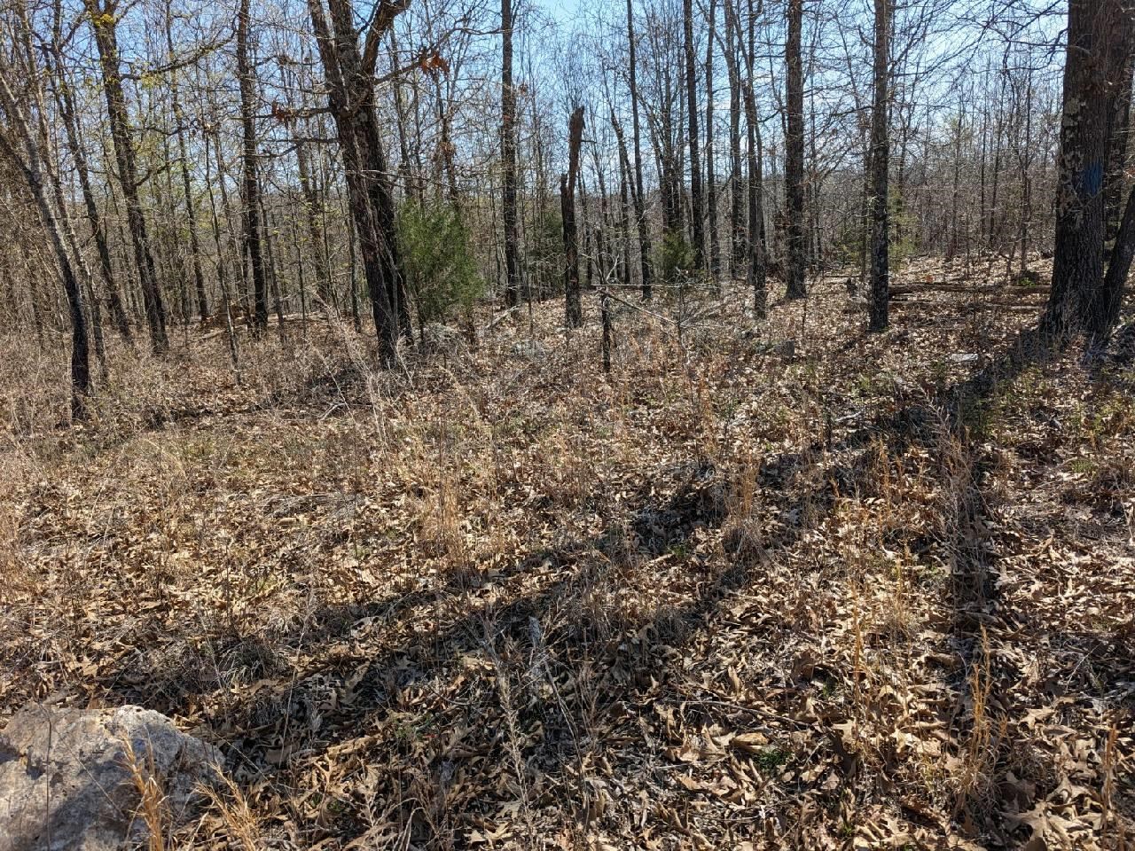 Not in Subdivision - Land