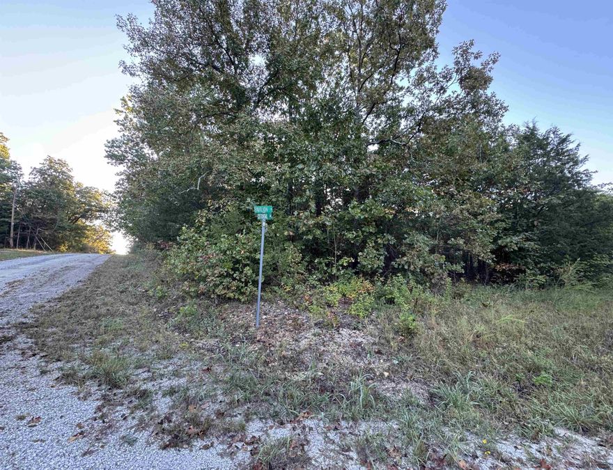 Affordable corner lot located in a quiet, peaceful area. This wooded property is the perfect spot to build your future home or weekend retreat. An annual fee of only $80.00 provides access to an incredible array of community amenities, including a golf course, beautiful lakes, tennis courts, horseshoe pits, and more. Don't miss this opportunity to invest in a fantastic community at a great price! Property will be conveyed with a Limited Warranty Deed. The annual fee of $80.00 is paid to Parks and Recreations for all amenity upkeep.