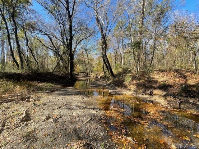 JACK FORK RIDGE - Land