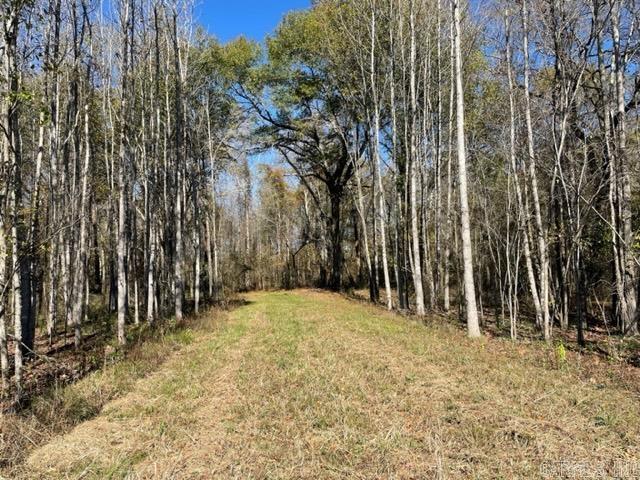 JACK FORK RIDGE - Land