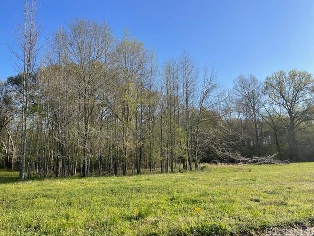 JACK FORK RIDGE - Land