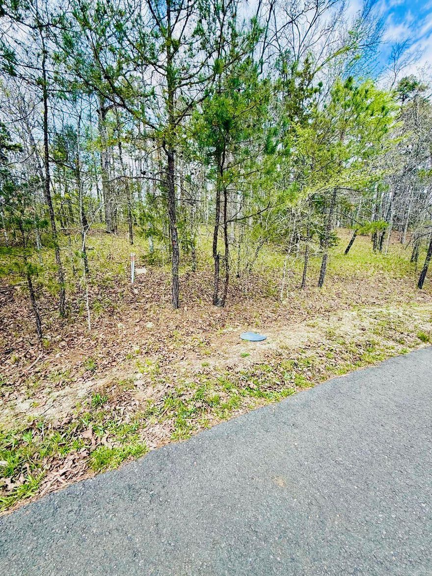 Build Your Dream Home in Hot Springs Village  Discover the perfect opportunity to build your dream home on this beautiful wooded lot located in Hot Springs Village. Surrounded by natural beauty and mature trees, this property offers a peaceful, private setting while still being part of one of Arkansas’ most desirable gated communities. Ownership in Hot Springs Village includes membership in the Property Owners Association (POA), providing access to a wide range of amenities and lifestyle benefits. Residents enjoy a secure, gated environment along with access to multiple recreational opportunities and community features. Hot Springs Village offers: 11 scenic lakes for boating, fishing, and water activities Several championship golf courses for all skill levels Over 30 miles of walking, hiking, and biking trails Fitness centers, tennis, pickleball, and recreational facilities Clubhouses, dining, and social activities A peaceful, well-maintained community with convenient access to nearby shopping, healthcare, and entertainment Is one of the largest gated communities in the United States. Come experience the lifestyle, privacy, and amenities that make this community so special.