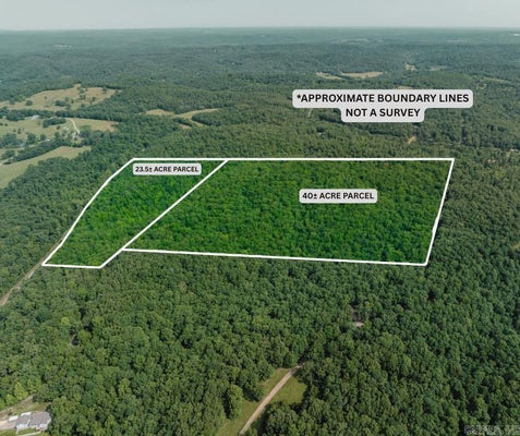 13 CAVE CREEK RD, BATESVILLE, AR 72501 - Image 4f62c32f437ba0d0caed0d95ea2be4ce/4105328233