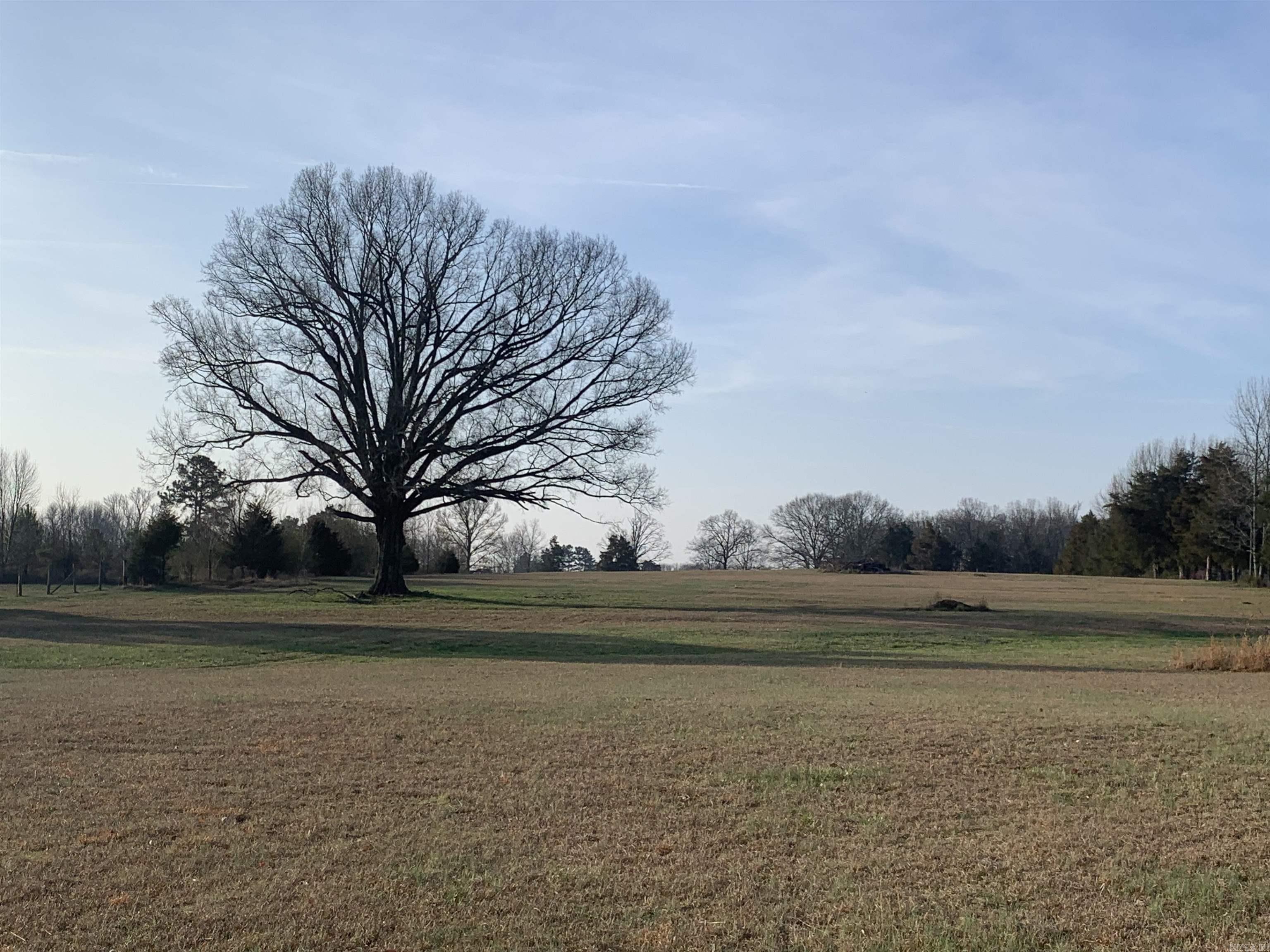 Judsonia Outlooks - Land