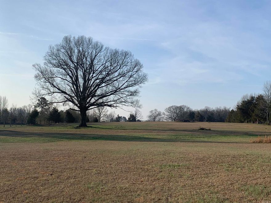 Beautiful land. Nice level land perfect for building a home.