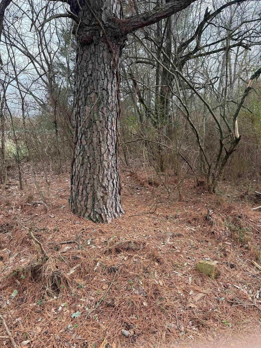 This is newly subdivided property is split into 3 and up to 5 acres  This is gently slops with rural water and First Electric power.  Some lots have  have trees and some are open.  Take a look today and call me for further details.