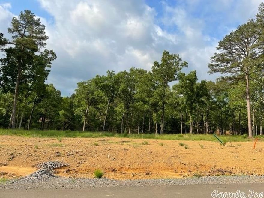 Beautiful lot to build your dream home in Conway's newest subdivision. Top pf Round Mountain.