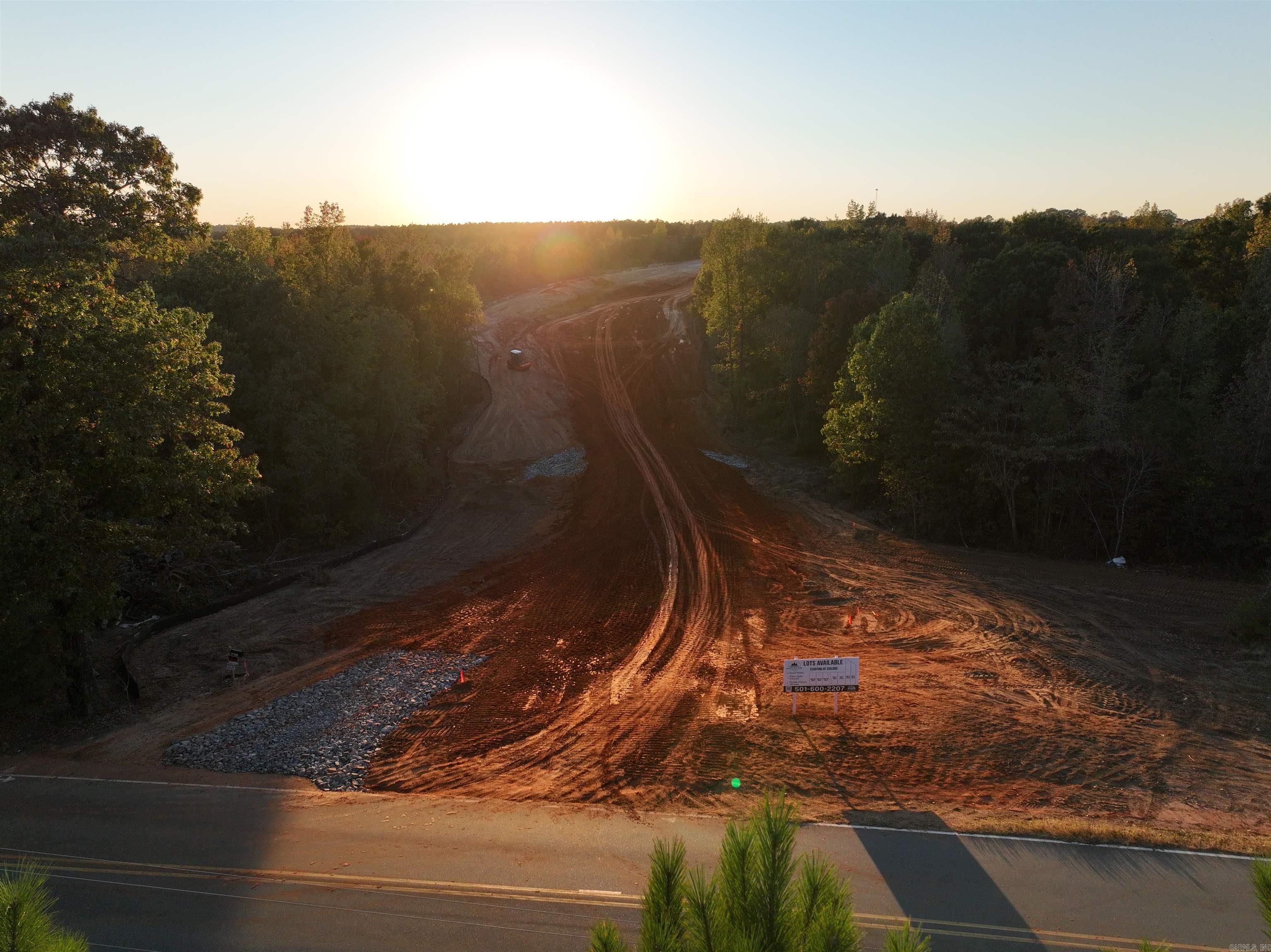 Mountain Pine - Land