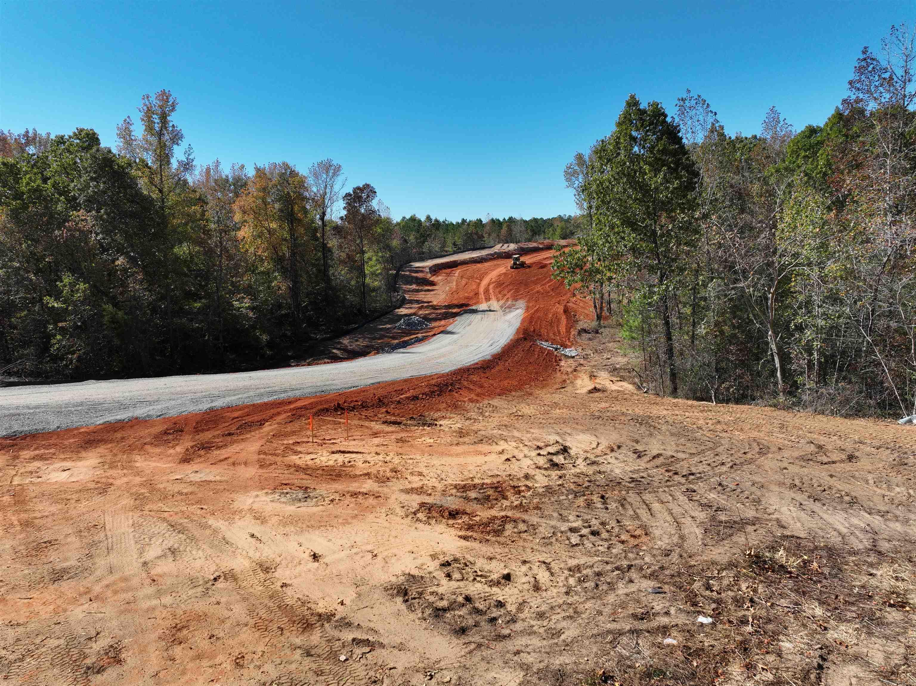 Mountain Pine - Land