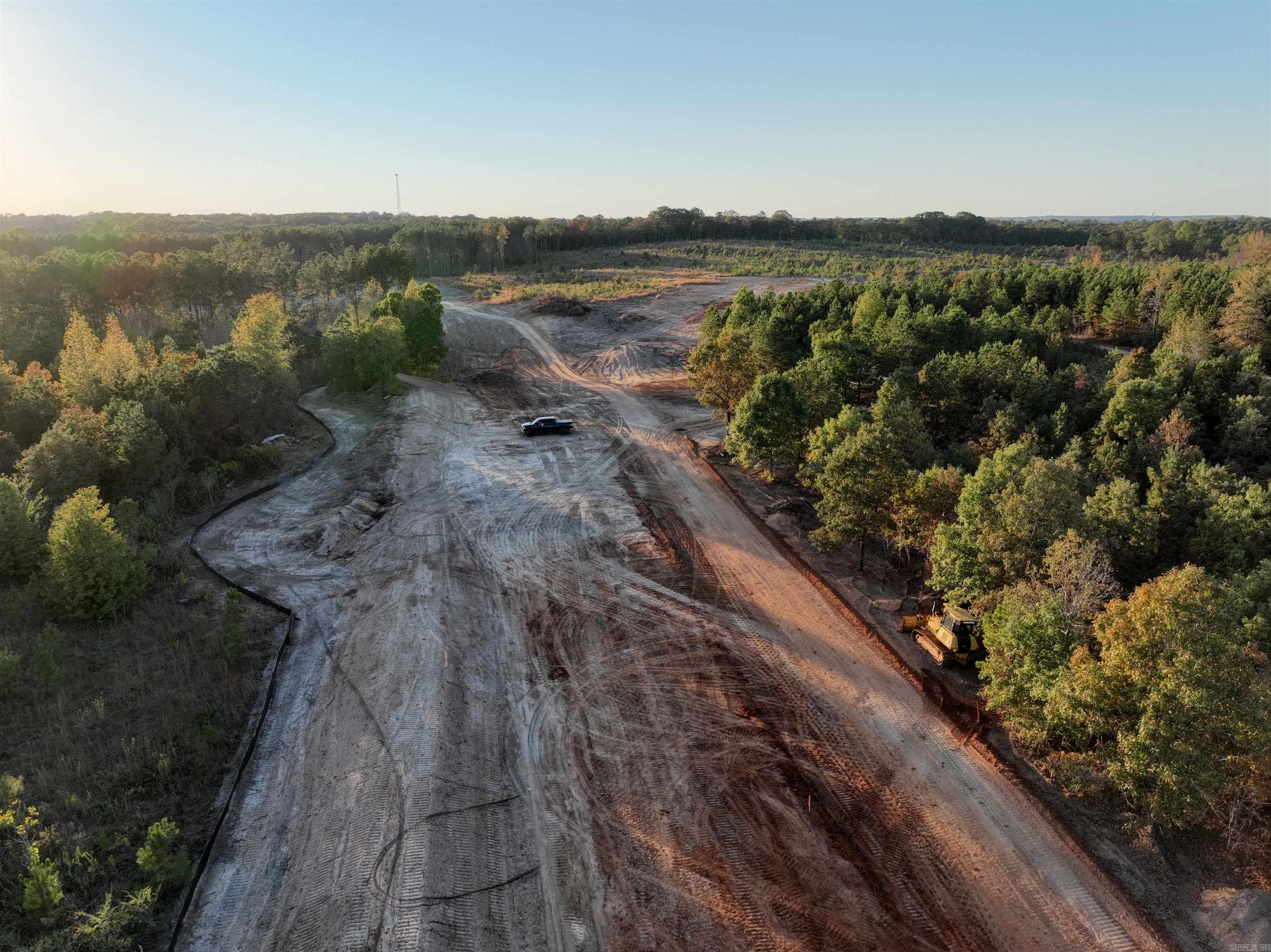 Mountain Pine - Land