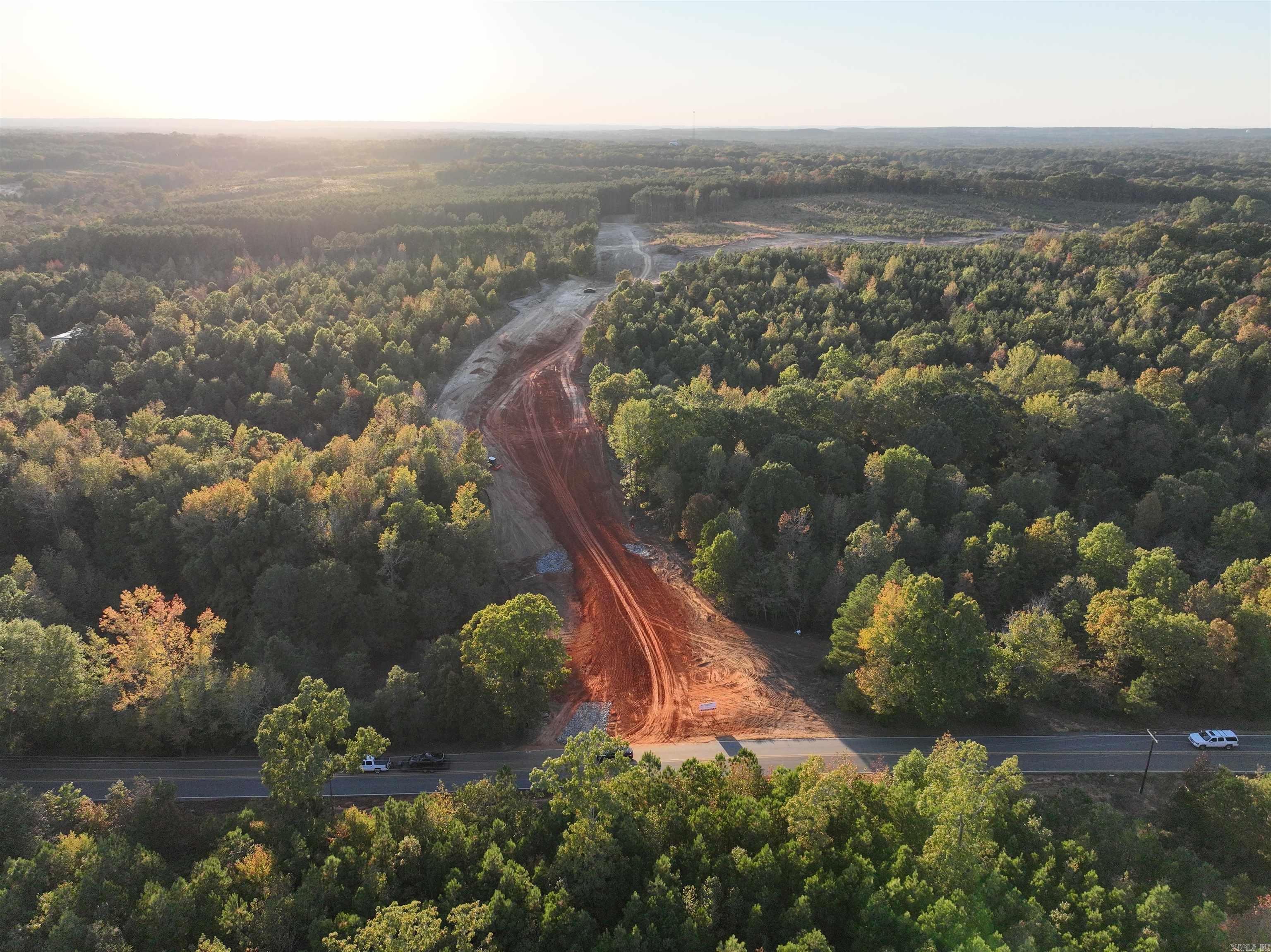 Mountain Pine - Land