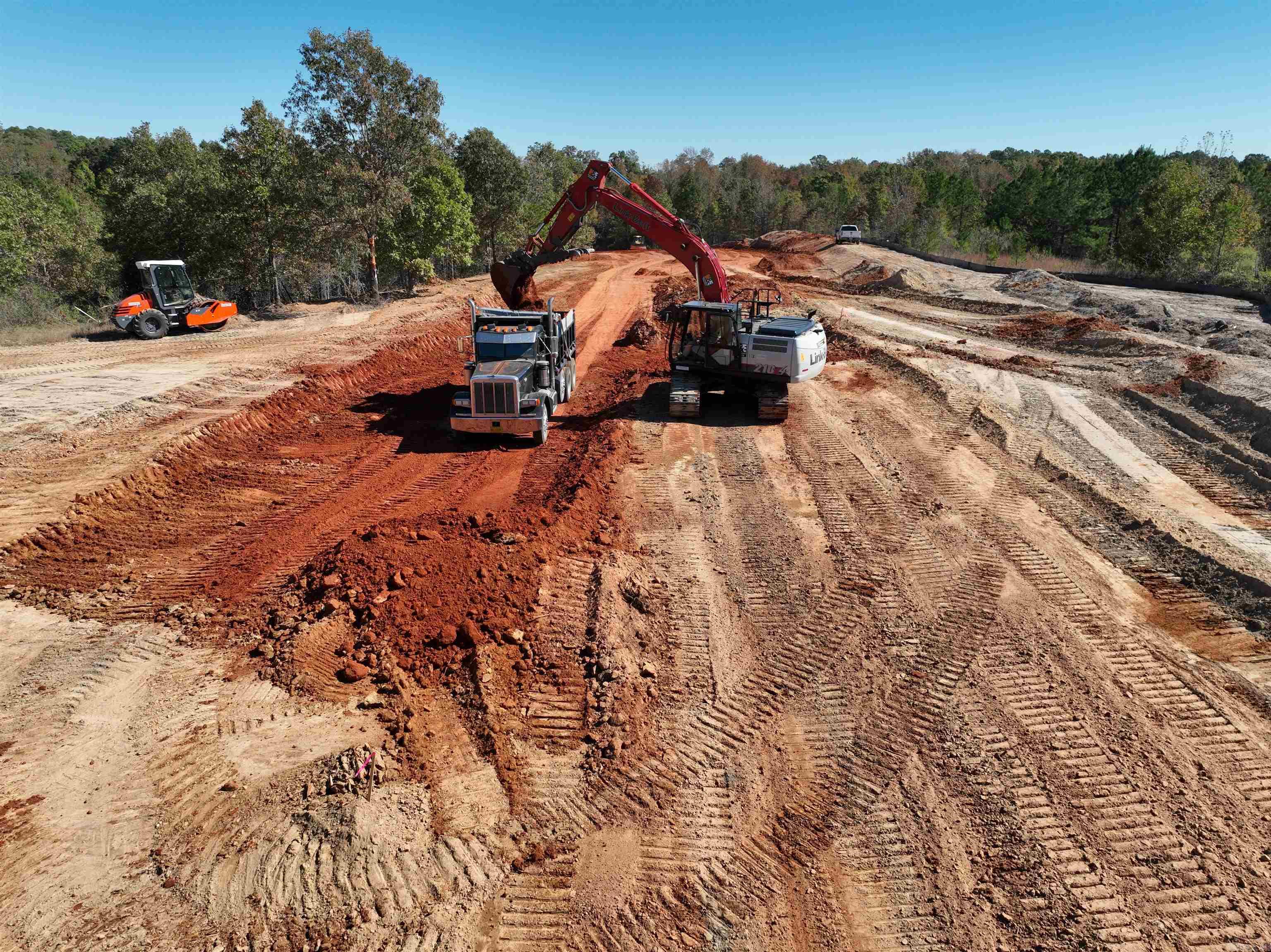 Mountain Pine - Land