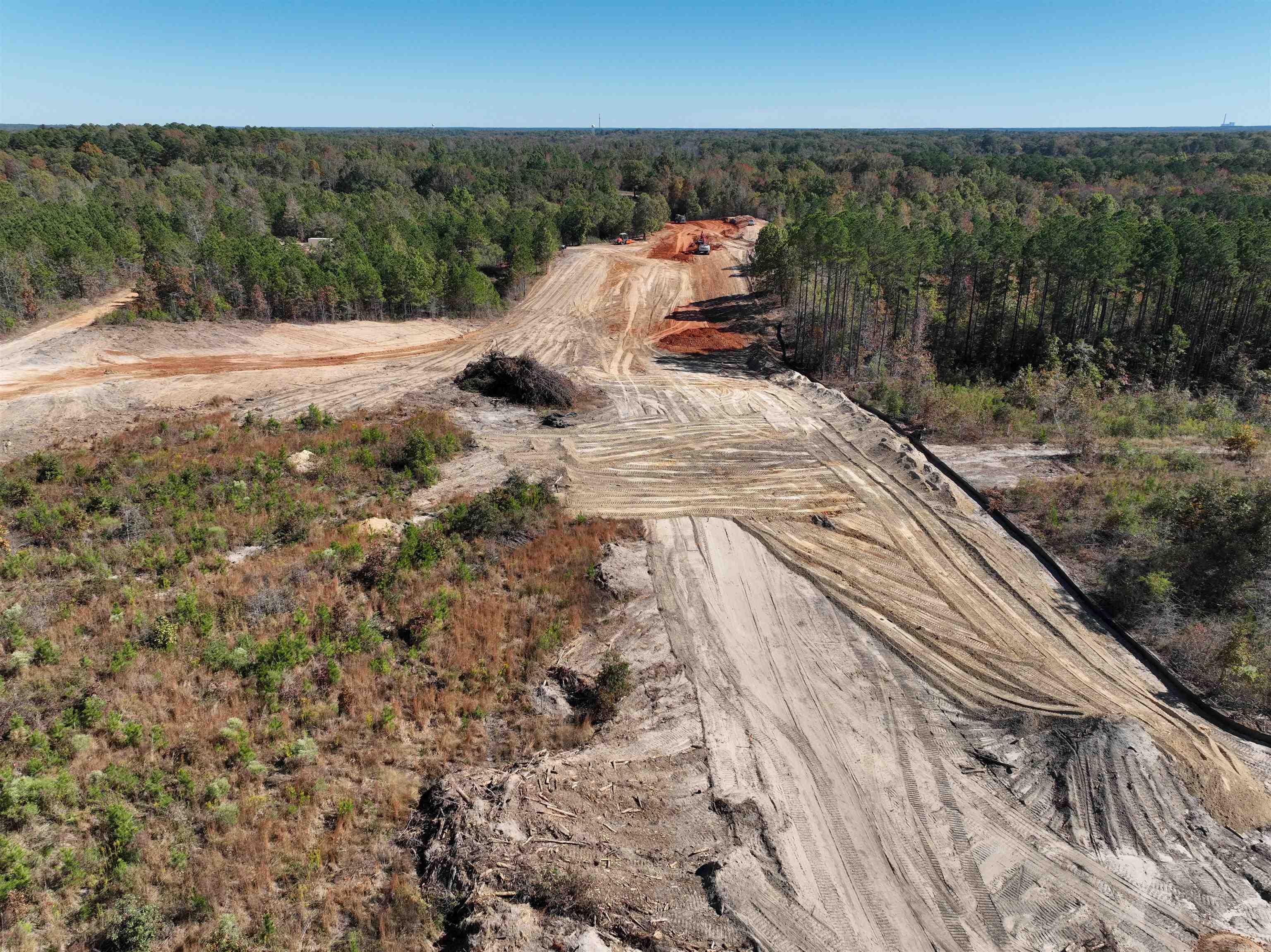 Mountain Pine - Land