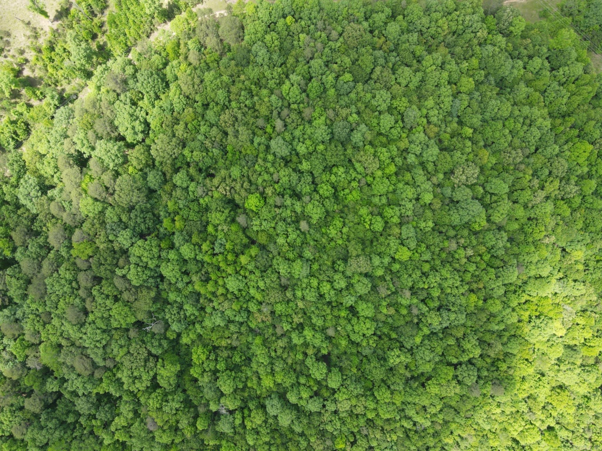 Beautiful 5 acres located in Wickes, AR surrounded by huge shade trees, rolling hill. Great property to build or put in a mobile home. Electric is available on the lane. Additional 5 acres can be purchased: MLS 25020464 Agents see remarks