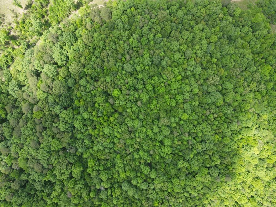 Beautiful 5 acres located in Wickes, AR surrounded by huge shade trees, rolling hill. Great property to build or put in a mobile home. Electric is available on the lane. Additional 5 acres can be purchased: MLS 25020464 Agents see remarks