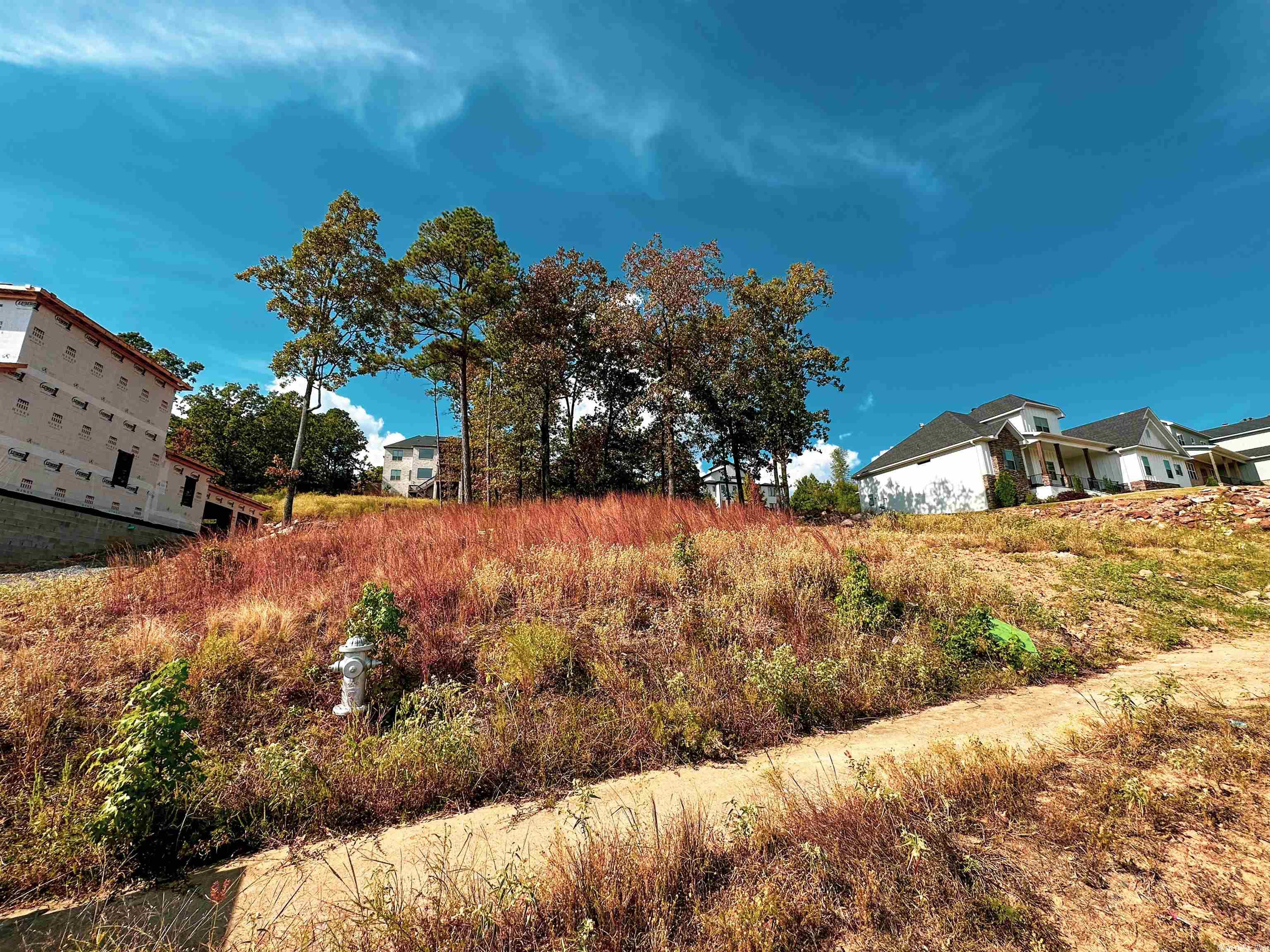 Osage Terrace - Land