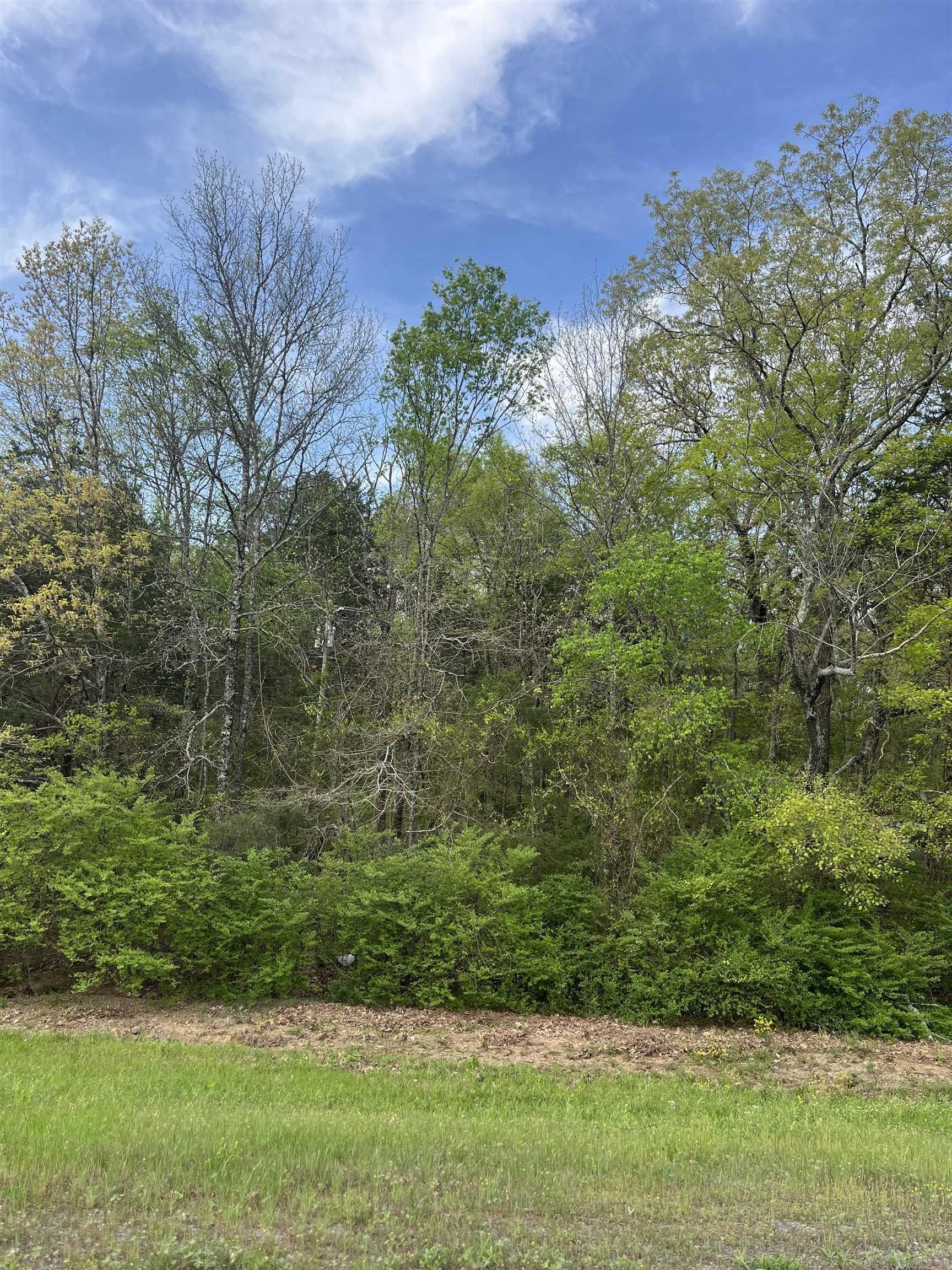 The property is close to everything a person could want. Shopping, restaurants, public schools, medical clinics, a library and a hospital is close by. With Greers Ferry Lake being just minutes away to enjoy swimming, water sports, boating, camping, fishing, hiking, biking all these exciting adventures can become a reality. The property lays in a quite Neiborhood great for taking afternoon walks and enjoying outdoors.