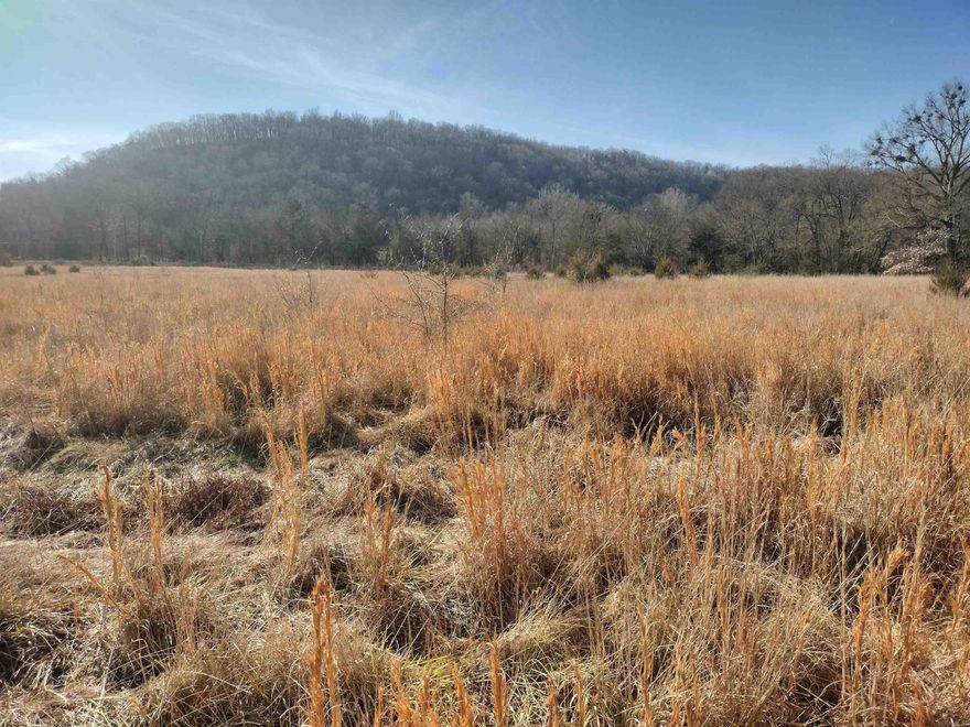 Looking for pasture with highway frontage does have views of surrounding mountains great place to start your next homestead lays very well will have power and water easement down east side of property