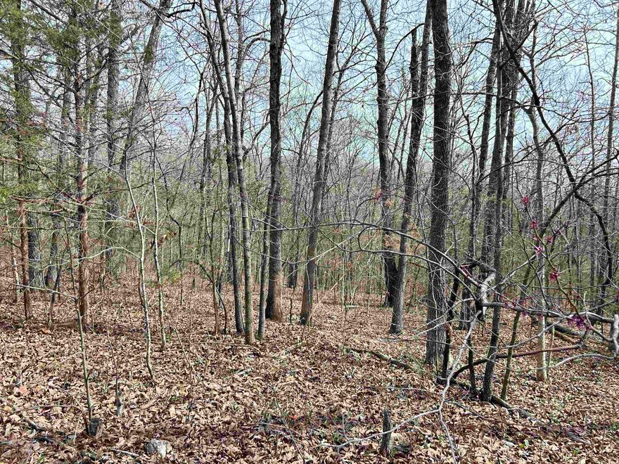 Wooded lot with a great view of Rainbow Lake.  Lakeside is bordered by Woodland Hills Property Owners Buffer to the lake. The lot is slightly sloping and, when cleared, will make a great place to build your home.  Woodland Hills currently $125 per year assessment to help maintain the lakes. Located in Old Hardy Town and minutes to downtown for shopping and dining. Spring River is nearby for swimming and canoeing.