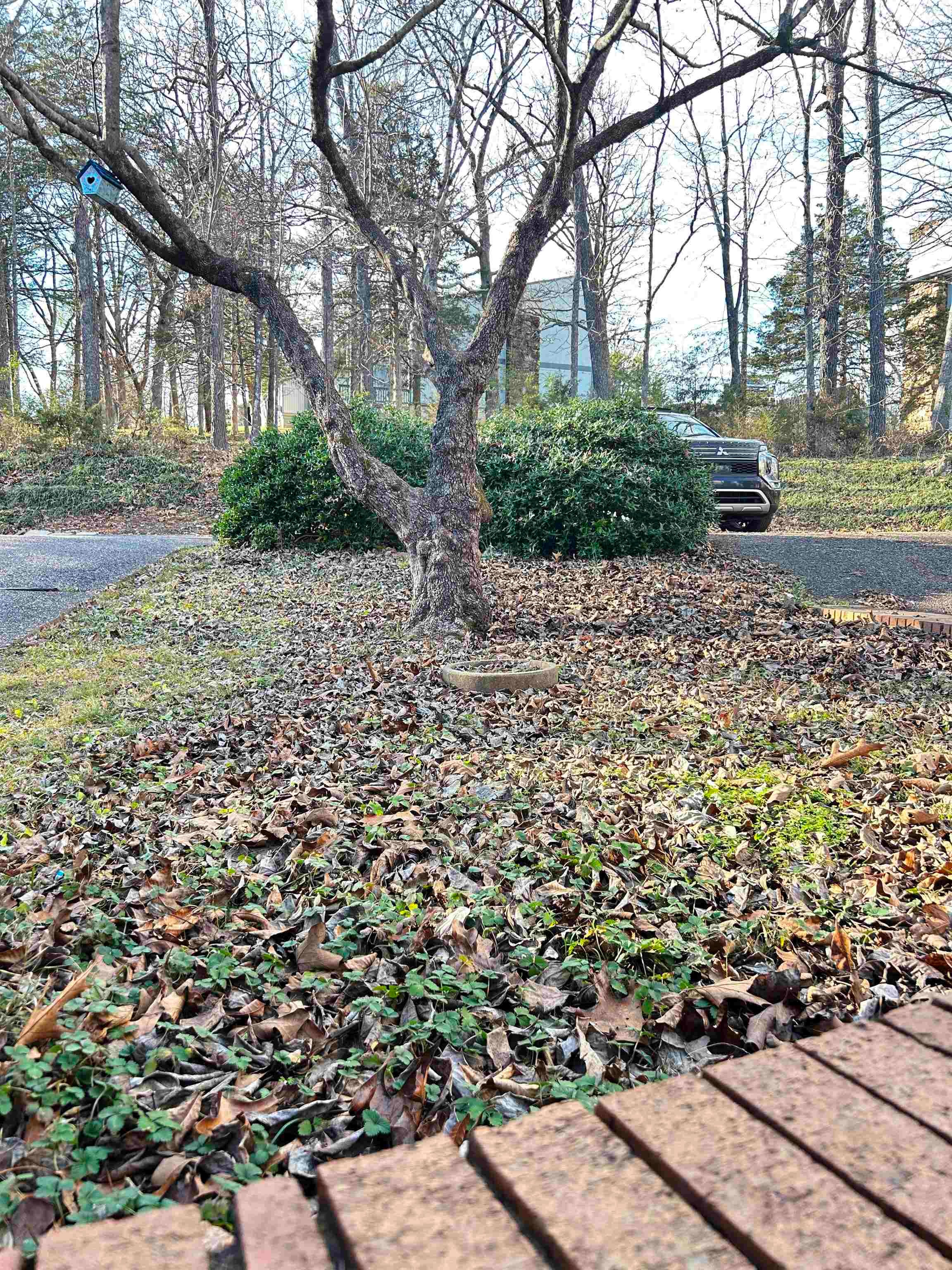 TOWNHOUSE - Residential