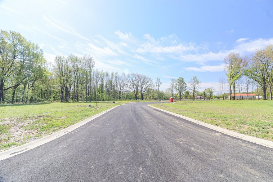 Ready to build a new home in the newest subdivision in Brookland? This lot offer city water and sewer additional amenities including banking, groceries, fast food & fuel. Call or text today for more information and go pick out your lot!