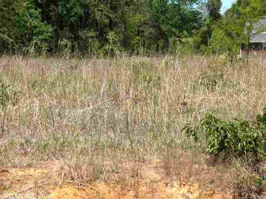This is a nice restricted level lot that is great for building your dream home. It features city water & electricity. It is close to Greenbrier city limits but has that country feel to it.