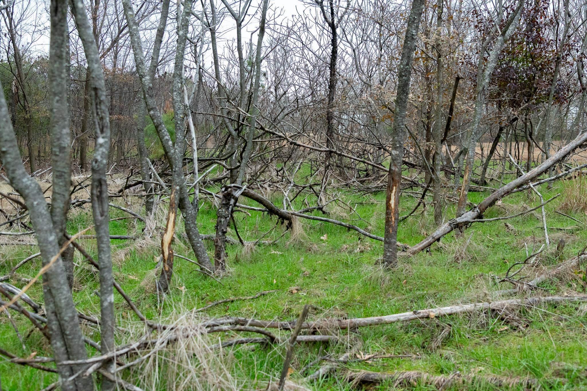 Not in Subdivision - Land