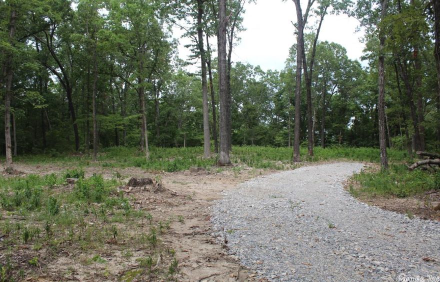 No. 02202  WOODED ACREAGE NEAR MOUNTAIN VIEW, ARKANSAS.  This 39.82 acres is ready for your new home, RV or hunting camp. There is a new water well and underground power in place.  An area has been cleared for a house site.  Plenty of water for wild game with a small creek crossing part of the property.  Some marketable timber, rock formations, and flat areas. The home site is situated within the acreage to afford all the privacy you could want while being only 10 minutes from town. $169,000