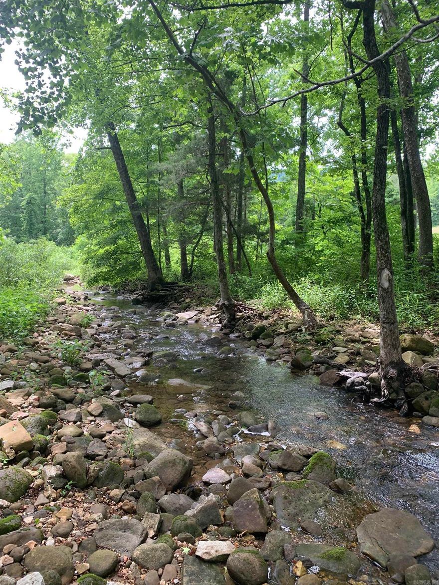 COVE CREEK!! 10.15 wooded surveyed acres with a nice building site and a 10’ x 12’ wood deck. Electric is available and the property has very few restrictions.